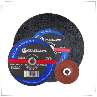 broyeur d'angle d'acier inoxydable de MPA 30grit de 100x3.2x16mm Blade